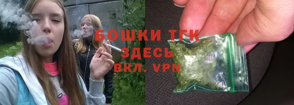 дживик Костерёво