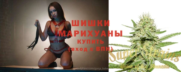 дживик Костерёво