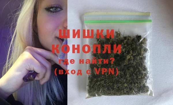 дживик Костерёво