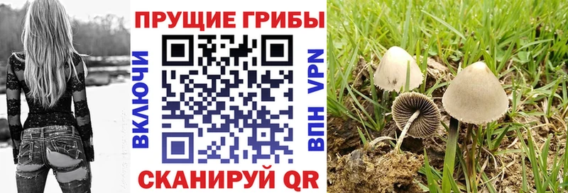 Псилоцибиновые грибы MAGIC MUSHROOMS  Купить закладки  Малаховка 